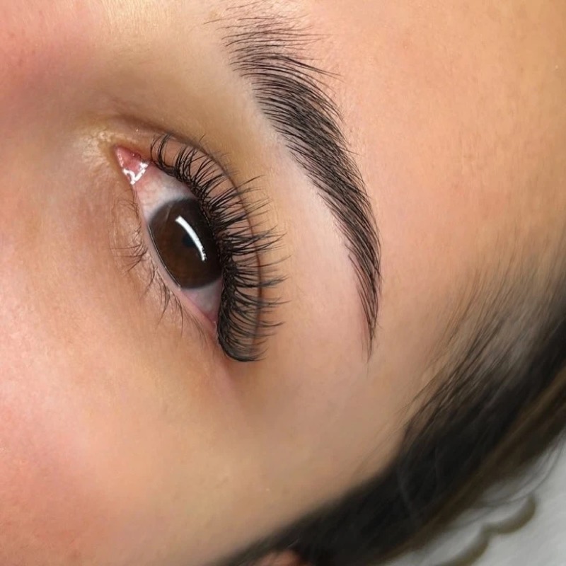Wimpernverlängerung mit gestylten Augenbrauen